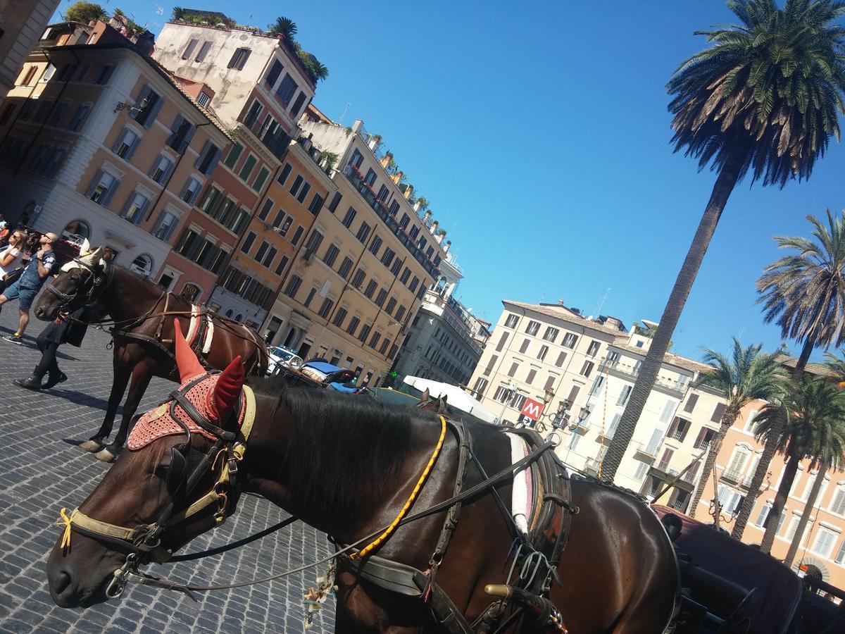 Pensionat Piazza Di Spagna De Charme Rom